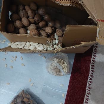 Organigiz.org Karaot Organik Ürünler Organik Değil Çöp!