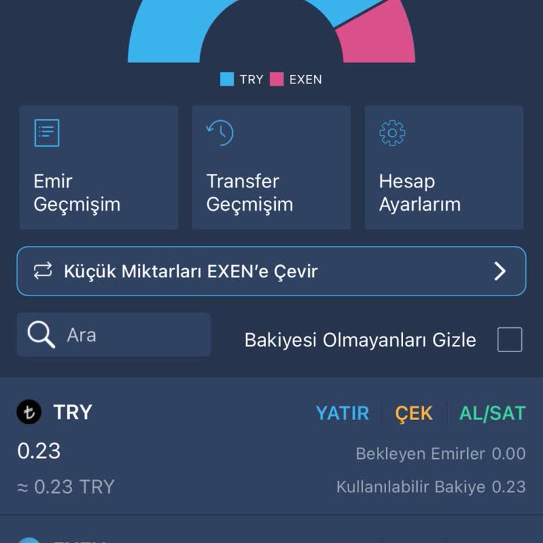 Bitexen Hesabıma 5 Gündür Geçmeyen BTC