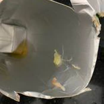 Yeni Tarihli Dimes Meyve Suyundan Garip Şeyler Çıktı