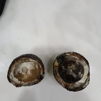 Migros Sanal Market Hüsran