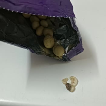 Altıntop Kuruyemiş Fıstık Yerine Sosla Kaplanmış Taş Çıktı