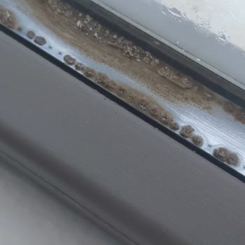 Hakemsan PVC Sistemleri Isıcam Arasında 3 Yıl Dolmadan Oluşan Küflenme