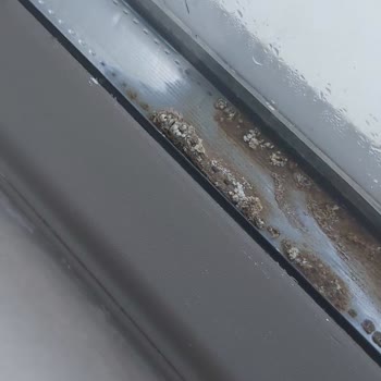 Hakemsan PVC Sistemleri Isıcam Arasında 3 Yıl Dolmadan Oluşan Küflenme