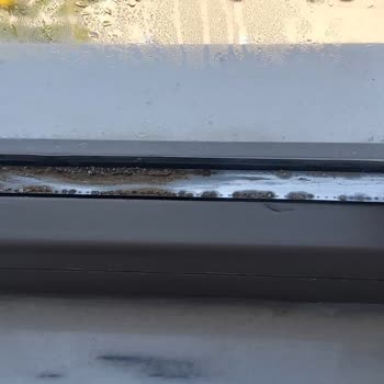 Hakemsan PVC Sistemleri Isıcam Arasında 3 Yıl Dolmadan Oluşan Küflenme