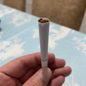 Parliament Night Blue Kalite Düşmesi Ve İçleri Boş Olması