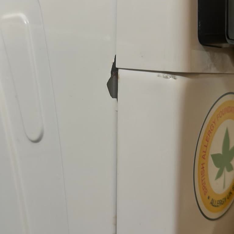 Vestel Beyaz Eşya Problemi