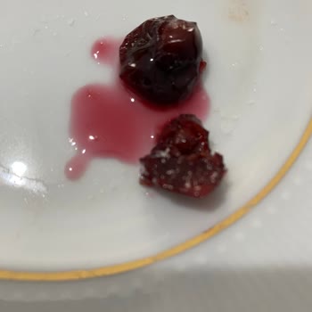 Erdoğanlar Gıda Erdoğanlar Reçel Vişne Çekirdeği Şikayeti