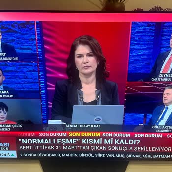 LG Oled TV'de Beklenmedik Dikey Çizgi Sorunu