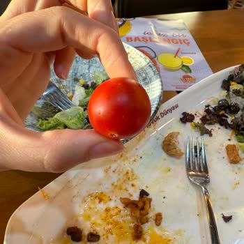 Tavuk Dünyası Değil Utanç Dünyası