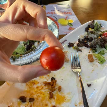 Tavuk Dünyası Değil Utanç Dünyası