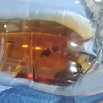 Lipton İce Tea Küf Benzeri Şey