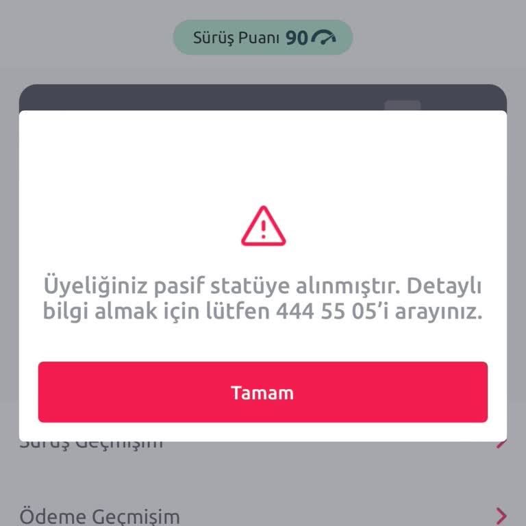 Tiktak Hesabım Pasife Alındı