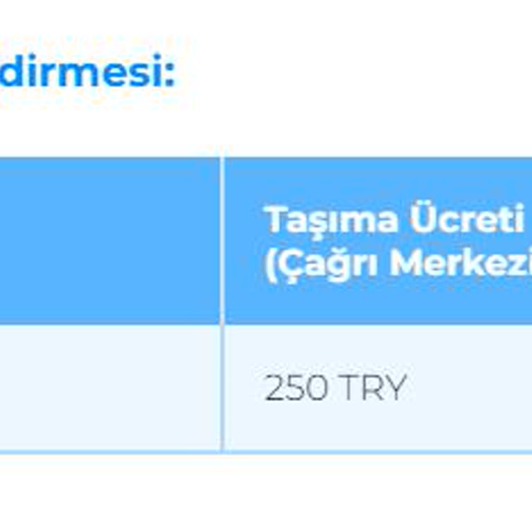 Ajet (Anadolu Jet) Ailem Ve Evcil Dostumuzun Uçuş Macerası: Hizmet Kargaşası