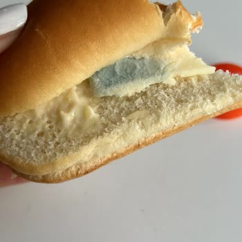 A101 Küflü Sandviçleri Satarak İnsanların Sağlığını Tehlikeye Atıyor