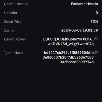 Bybit Transfer Gecikmesi, İşlemim Nerede?