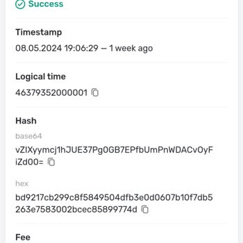 Bybit Transfer Gecikmesi, İşlemim Nerede?