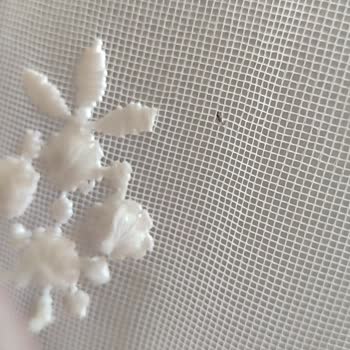 Elazığ Belediyesi Sokaklar İlaçlansın Böcek Var