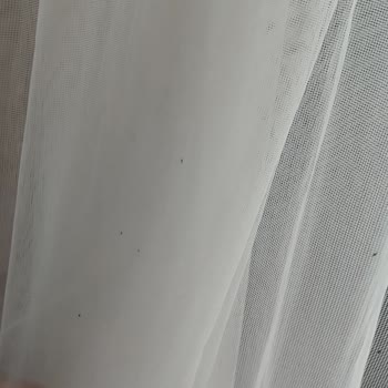 Elazığ Belediyesi Sokaklar İlaçlansın Böcek Var