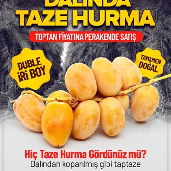 Tazehurma.com.tr Kuru Meyveyi Bozuk Gönderdiler