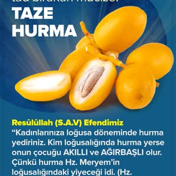 Tazehurma.com.tr Kuru Meyveyi Bozuk Gönderdiler