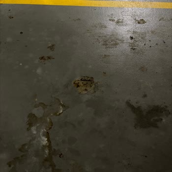 Buyaka AVM'de Kedi Dışkısı Sorunu