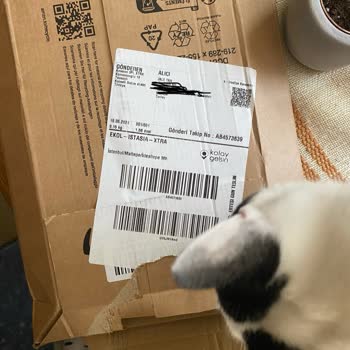 Amazon TR, SKT Geçmiş Saç Boyası Yolluyor, Ürünümü Kusursuz Alamıyorum