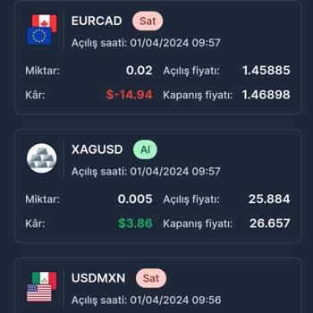 Aktif FX Aktif Yatırım Llc Yalanı