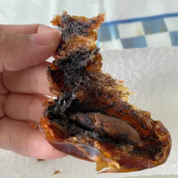 Simbat Bir Paket Dolusu Çürük Hurma