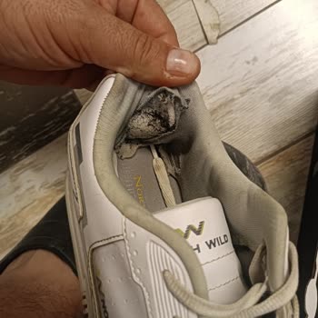 North Of Wild Kalitesiz Ayakkabı Ve İlgisiz Hizmet!