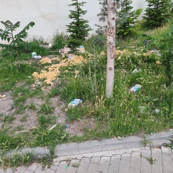 A101 Market Önü Çöplük Gibi