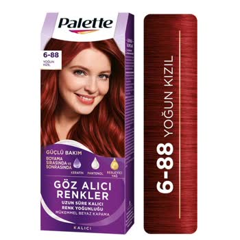 Palette Sözde Akmayan Boya