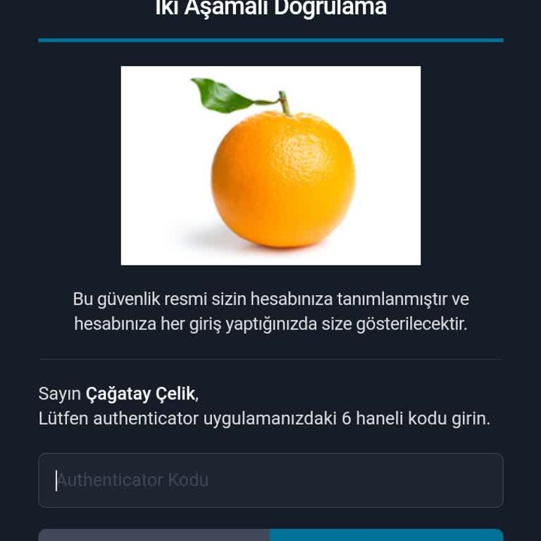BTCTURK Hesaba Giriş Yapamıyorum