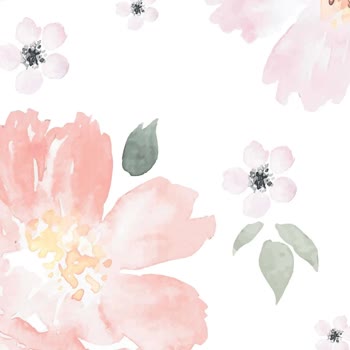 Kids Paperie Duvar Kağıdı Renk Hatası!