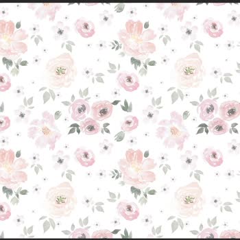 Kids Paperie Duvar Kağıdı Renk Hatası!