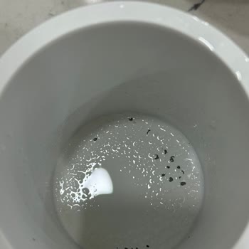 Linens Nube Marka Klozet Fırçası İlk Kullanımda Kabardı