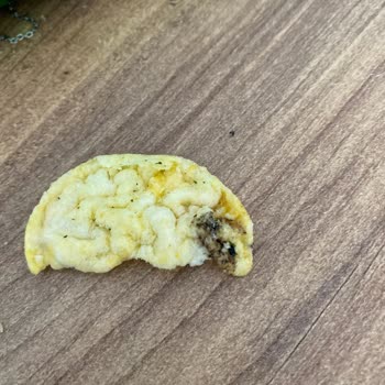 Eti Gıda Eti Gong İçinden Kurt Çıktı!