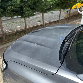 Brand New Renault Austral Paint Defect