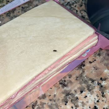 SuperFresh Hakkımı Talep Ediyorum