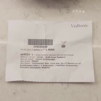 ÇiçekSepeti Kökü Çürümüş Orkide Satışı!