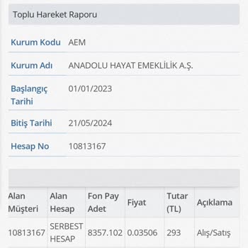 Anadolu Hayat Emeklilik BES Paramı Yatırmıyor