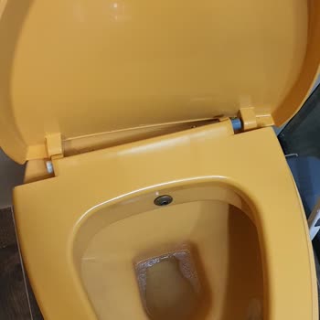 Bocchi Klozet Kapak Sorunu Ve Yüksek Servis Ücreti