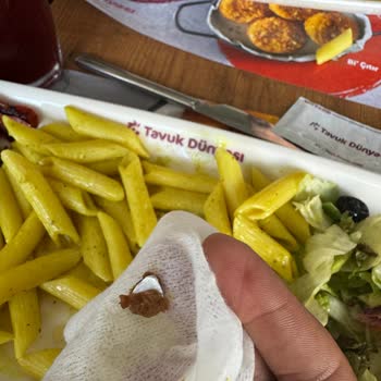 Tavuk Dünyası Tavukta İstenmeyen Madde