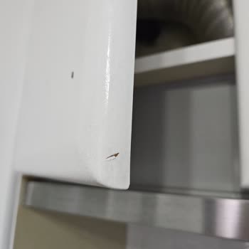 Bianca Boya Bütün Boyalar Döküldü