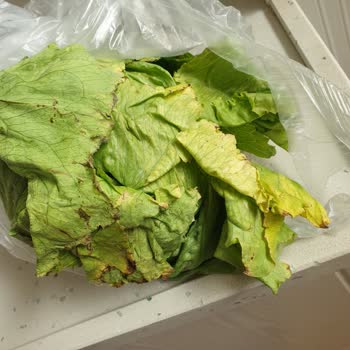 A101 Kapıda Çürük Ürün Gönderiyor