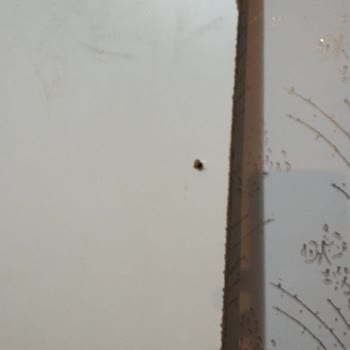 Abüşra Bellona Siteler Mağaza' Sın Ayıplı Ürünü Tekrar Getirmesi