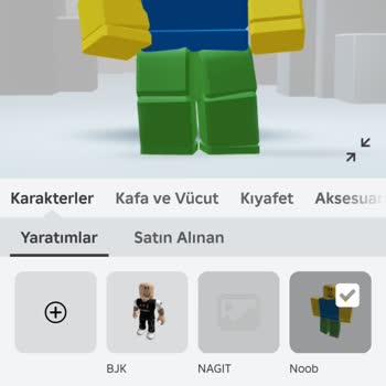 Robux Karakterim Gözükmüyor
