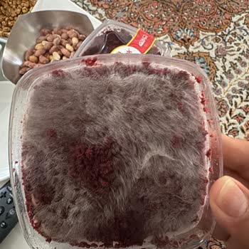 Küflü Bozuk Ürün Satan Tatlıbak