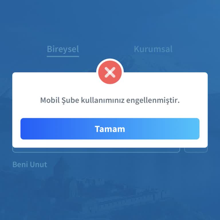 Halkbank Basit Bir Kredi Kartı Borcu