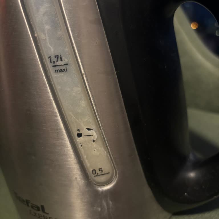 Tefal Su Isıtıcı Pişmanlığı