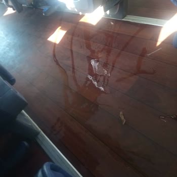 Nilüfer Turizm İzmir İstanbul Seferi Kabusu